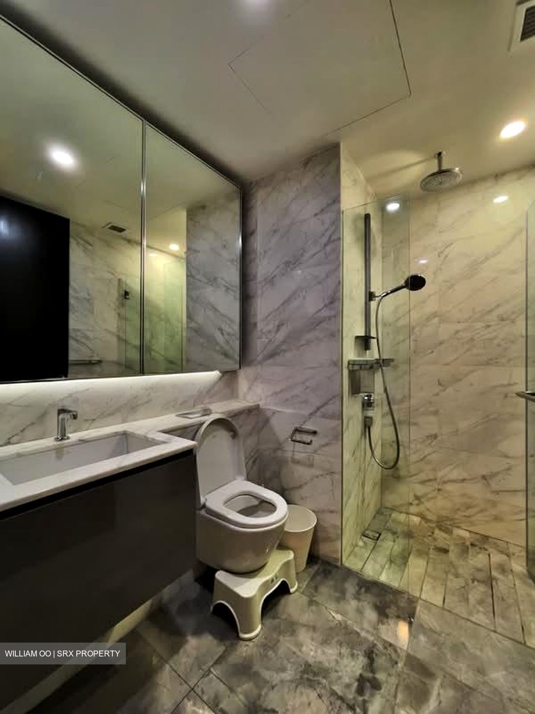 Midtown Bay (D7), Apartment #557228431